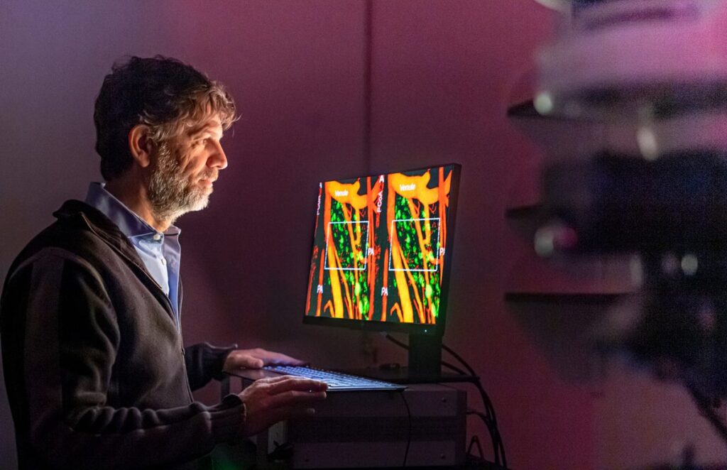 Javier Stern working at his computer