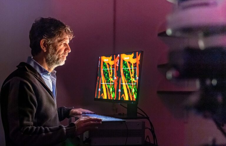 Javier Stern working at his computer