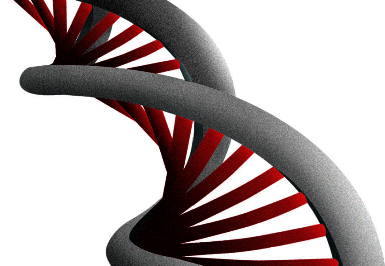 Helix DNA