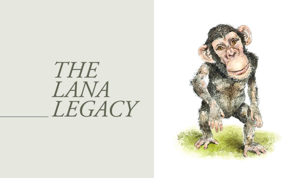 Picture of monkey on right with article title on left