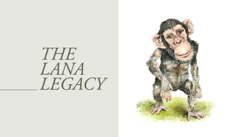 Picture of monkey on right with article title on left